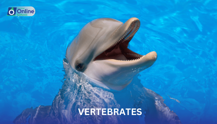 Lesson 13: Evolutionary Adaptations in Vertebrates